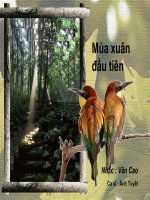 MUA XUAN DAU TIEN
