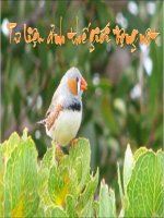 Thế giới sinh vật