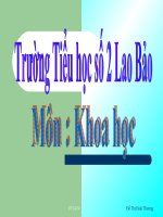 khoa hoc- anh sang can cho su song