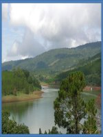 Tiết 56:  HAI ĐƠN THỨC ĐỒNG DẠNG