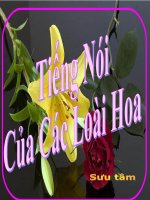 TIẾNG NÓI CÁC LÒI HOA