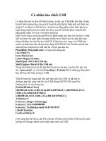 Cá nhân hóa chiếc USB