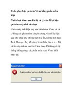 Khắc phục hậu quả của Virus bằng phần mềm Việt pps