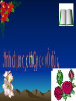 bai 25: phong trao tay son