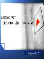Chương VII. Các câu lệnh đơn giản(Cao Đẳng)