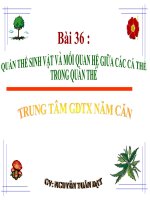 Bài 36 Quần thể sinh vật và các mối quan hệ trong quần thể