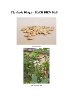 Cây thuốc Đông y - BẠCH BIỂN ĐẬU pdf