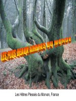 Cảnh đep Thế giới