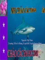 từ ngữ về sông biển