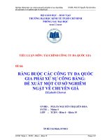 RÀNG BUỘC CÁC CÔNG TY ĐA QUỐC GIA PHẢI XỬ SỰ CÔNG BẰNG:  ĐỀ XUẤT MỘT CƠ SỞ NGHIÊM  NGẶT VỀ CHUYỀN GIÁ