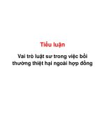 Tiểu luận: Vai trò luật sư trong việc bồi thường thiệt hại ngoài hợp đồng