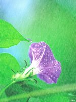 hoi nuoc trong khong khi. mua