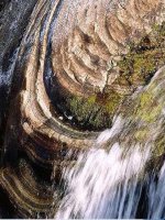 Bài 8 tác động nội lực