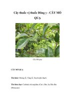 Cây thuốc vị thuốc Đông y - CÂY MỎ QUẠ ppsx