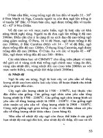 Cây Ngô, Thâm Canh Ngô Tăng Năng Suất - TS. Đường Hồng Dật phần 5 pdf