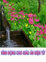 Hinh dong tuyetdep-Phuc vu giang day