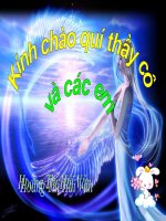 Bài 46. Thỏ