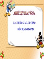 Cây cỏ nước Nam