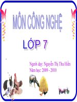 QUANG SPCN B:40 CN 7