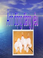 ẢNH ĐỘNG ĐÁNG YÊU