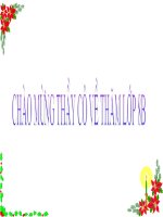 dây thần kinh tủy