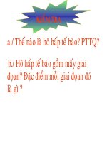 Bài 17: Quang hợp