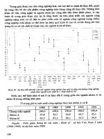 Giáo trình địa lý kinh tế- xã hội Việt Nam part 5 ppt