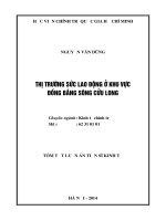 Tóm tắt luận án tiến sĩ kinh tế thị trường sức lao động ở khu vực đồng bằng sông cửu long