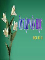 Ôn tập văn học 11