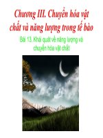 Bài 13.Khái quát về năng lượng và chuyển hóa vật chất