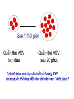 bài giảng đạt giải viên phấn vàng(08-09) bài 25 sinh trưởng và phát triển của VSV