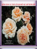 Thuc hanh bai 29- Dia 12