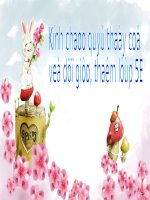 tập đọc: Kì diệu rừng xanh