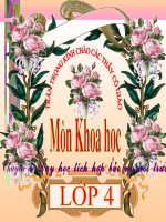 Không khí có những tính chất gì