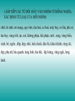 bduong HSG tieng viet lop 5