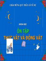 Ôn tập : Động vật và Thực vật
