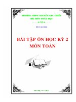 BÀI TẬP ÔN HỌC KỲ 2 MÔN TOÁN ppt