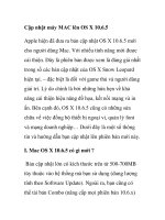 Cập nhật máy MAC lên OS X 10.6.5 pps
