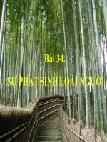 Bài 34 - 12 cơ bản