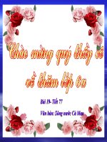 tiêt 77 sông nước Cà Mau