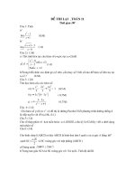 DE THI LAI TOAN 11CB