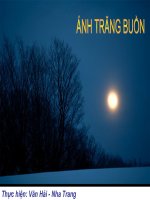 Bai hat Ánh trăng buồn