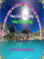 Bai 50 - Tiết 50: HẠT TRẦN - CÂY THÔNG