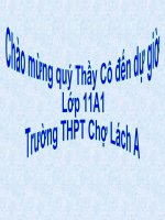 Luyện tập thao tác lập luận bác bỏ