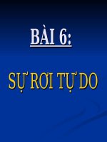 Bài 4: Sự rơi tự do 10 cb