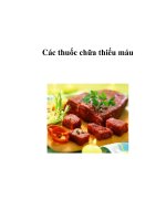 Các thuốc chữa thiếu máu ppt