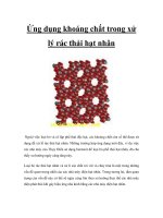 Ứng dụng khoáng chất trong xử lý rác thải hạt nhân pps