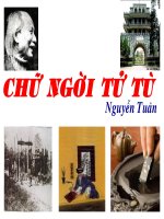 Chữ người tử tù ( tiết 1)