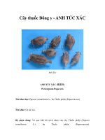 Cây thuốc Đông y - ANH TÚC XÁC pdf