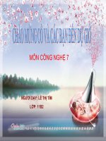 QUANG SPCN  BRVT BAI 50 CN 7